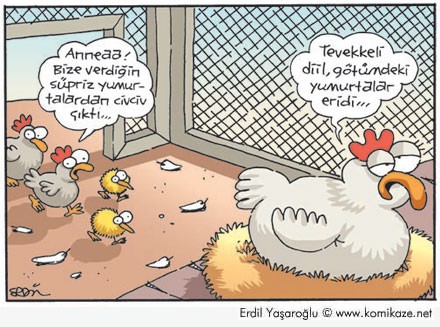 En komik 10 karikatür 8