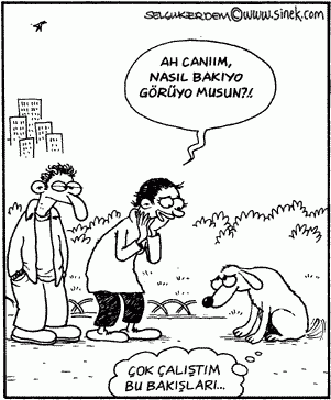 Karikatür 1