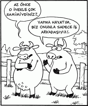 Karikatür 12