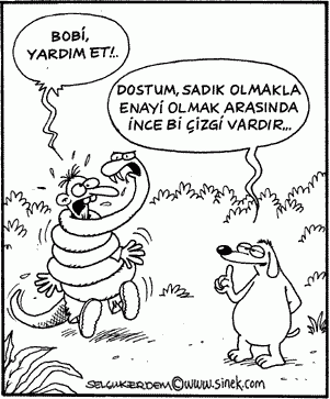 Karikatür 8