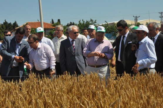 Silivri’de Tarla Günü Etkinliği 2