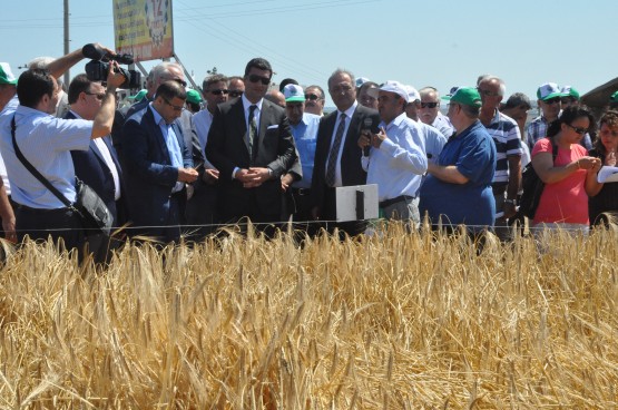 Silivri’de Tarla Günü Etkinliği 3