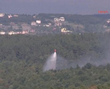 Beykoz'da orman yangını