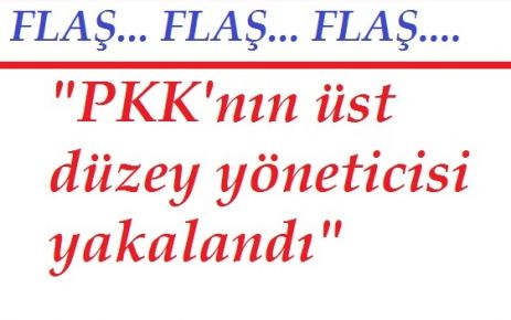 "PKK'nın üst düzey yöneticisi yakalandı"