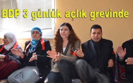 BDP 3 günlük açlık grevinde