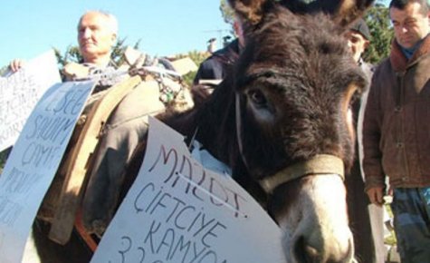 Kavallı eşekli zam protestosu