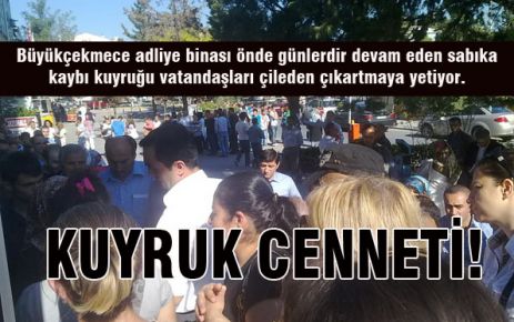 KUYRUK CENNETİ!