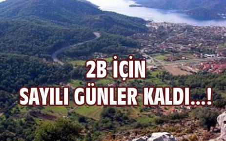 2B'de son bilançoyu açıkladı