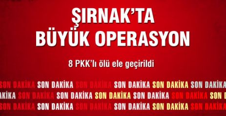 Şırnak'ta 8 PKK'lı Öldürüldü