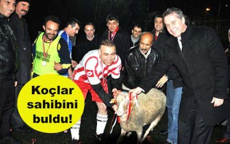 Koçlar sahibini buldu!