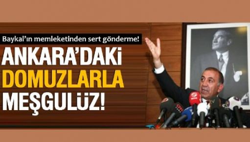 Gürsel Tekin'den DOMUZ çıkışı