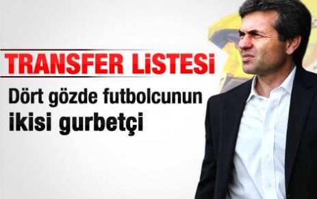 Fenerbahçe'den yerli harekat