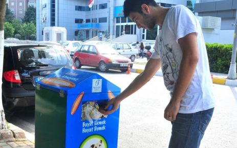 Bayat ekmekler hayvanları besliyor