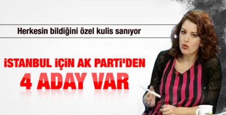 'AK Parti'de İstanbul için 4 aday var'