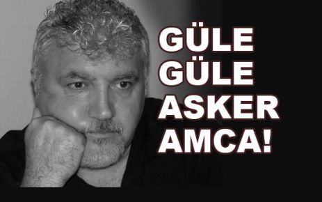 GÜLE GÜLE ASKER AMCA!