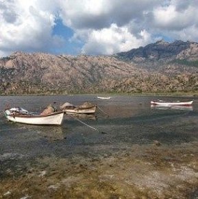 40 yılda yarı yarıya kaybettik