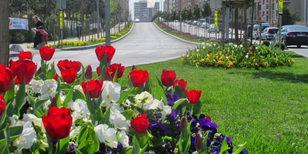 Başakşehir çiçek açtı