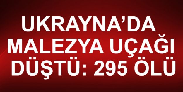 Malezya yolcu uçağı düştü