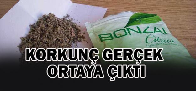 Kalp krizinin nedeni “Bonzai” çıktı