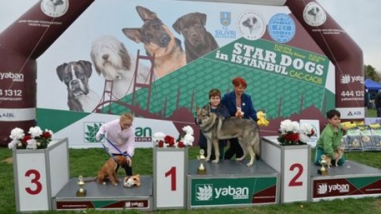 Köpek severler Silivri'de buluştu