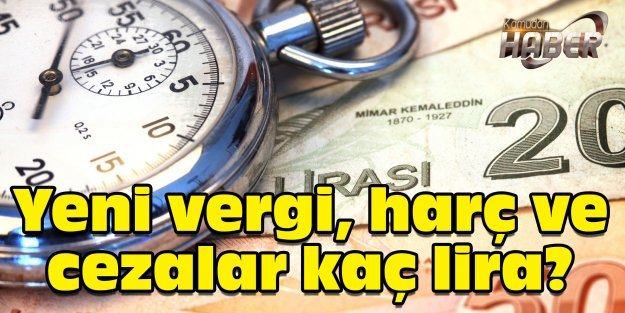 Yeni vergi, harç ve cezalar kaç lira?