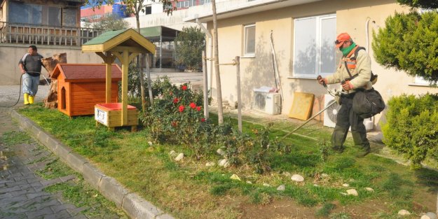 Hayvan bakım evi kışa hazır