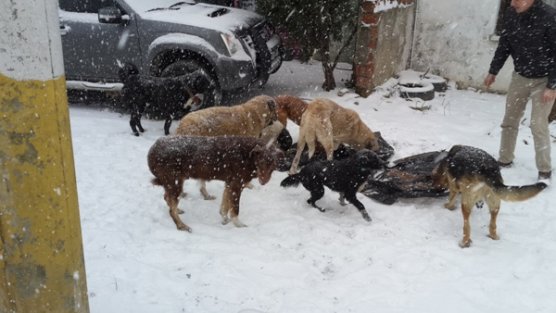 ÇATALCA BELEDİYESİ ONLARINDA YANINDA