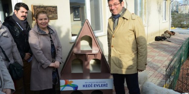 Beylikdüzü'nde kedi evleri için örnek proje