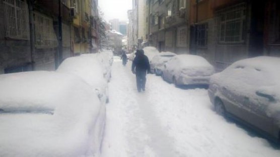 İstanbul'da 189 ağaç devrildi