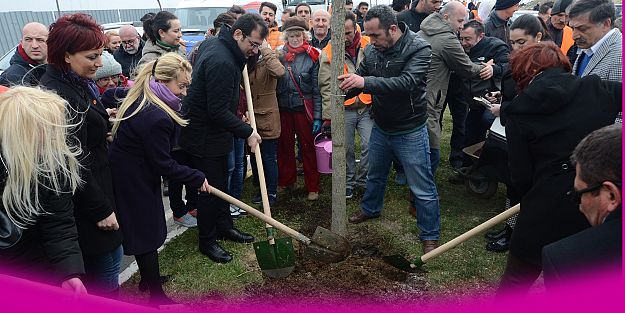 İsimleri ağaçlarda yaşayacak...