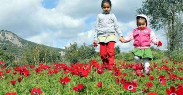 Meteoroloji'den bahar müjdesi