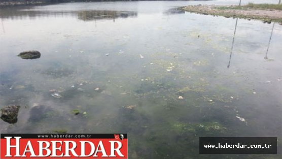 Marmara Denizi’nde alarm