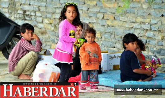 Bodrum'daki göçmenler gönderiliyor