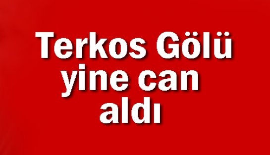 Terkos Gölü yine can aldı