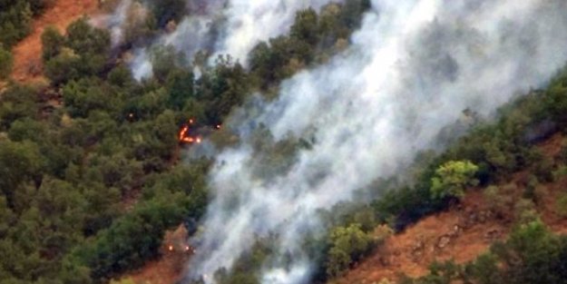 Hakkari'de 5 Ayrı Noktada Orman Yangını