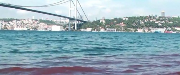 Kurban kanları yine İstanbul Boğazı'na aktı