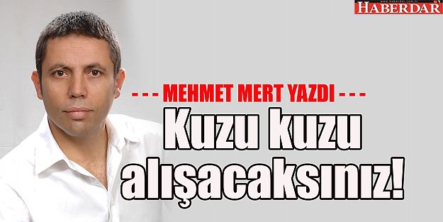 Kuzu kuzu alışacaksınız!