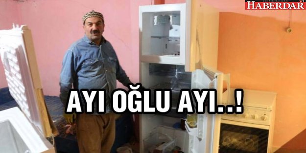 Aç kalan ayı eve girdi bal ile buzdolabındaki yiyecekleri yedi