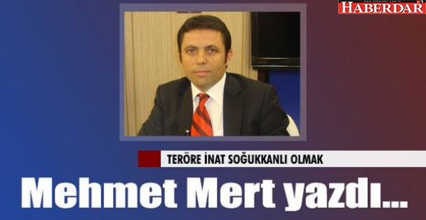 Teröre inat soğukkanlı olmak!