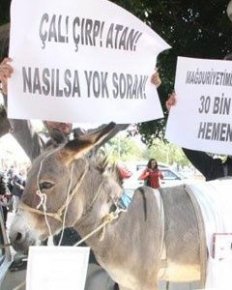 Mersin'de eşekli KPSS protestosu