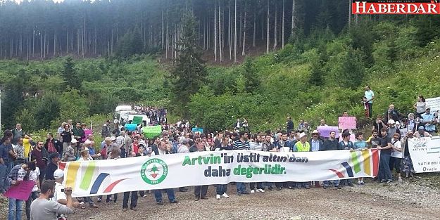 Cerattepe, Gezi ve Albatros!