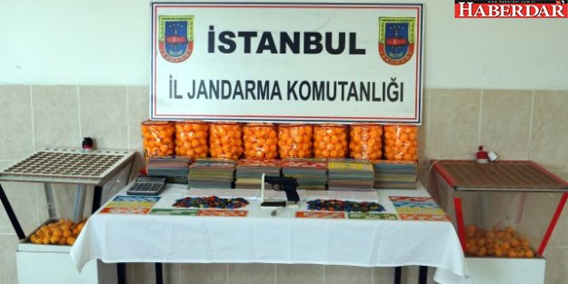 Çadırda Tombalaya Jandarma Baskını: 95 Kişi Gözaltında