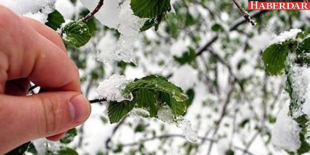 Meteoroloji'den uyarı