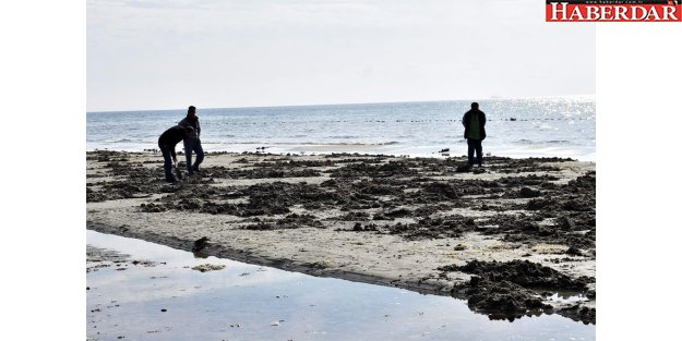 Tekirdağ'da korkutan görüntü: Deniz 15 metre çekildi