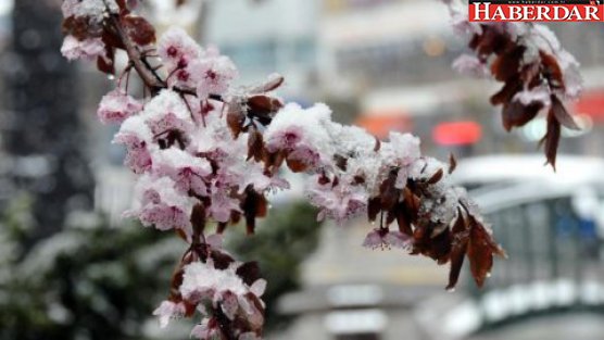 Meteoroloji'den zirai don uyarısı