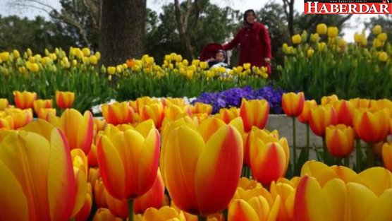 Çiçek Açan Park ve Tesisler 'Mutluluk Fotoğraflarının' Adresi Oldu