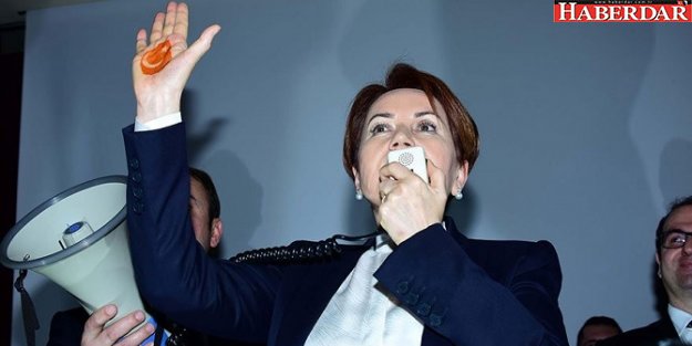 İşte Meral Akşener'in partisinin yeni logosu