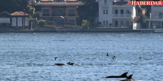 İstanbul Boğazı’nda şoke eden görüntü!