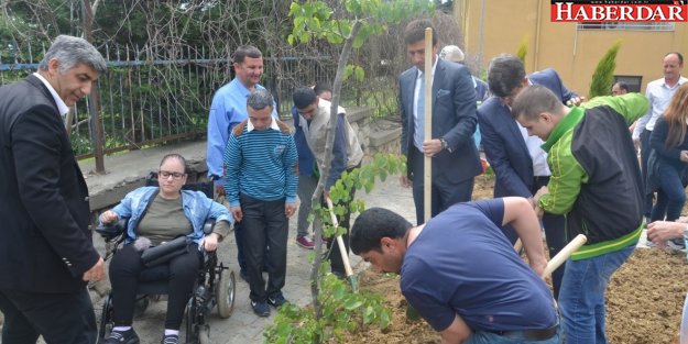 Çiçek ve ağaç dikmenin mutluluğunu yaşadılar