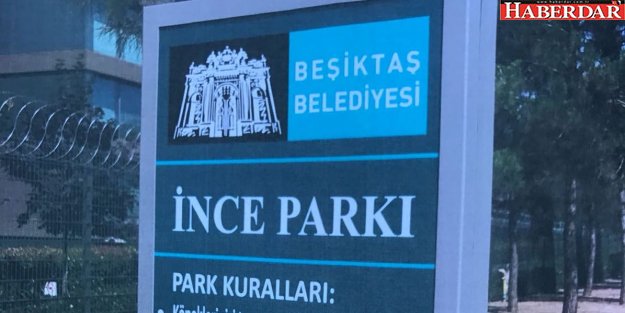 Beşiktaş'ta İnce Parkı tartışması